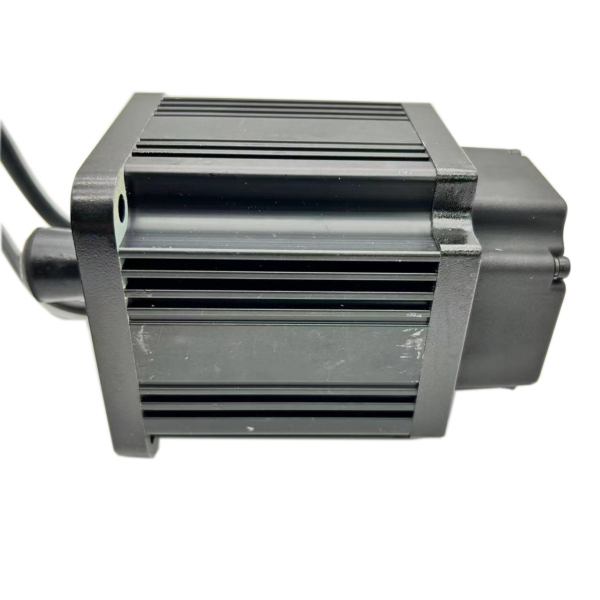 Motor Zoje #10031828